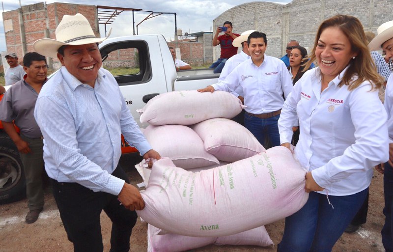 Entrega David Monreal semilla de avena forrajera a 1 mil 600 productores de ocho municipios