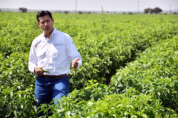 Invierte municipio de Guadalupe 8 millones de pesos en el sector agropecuario