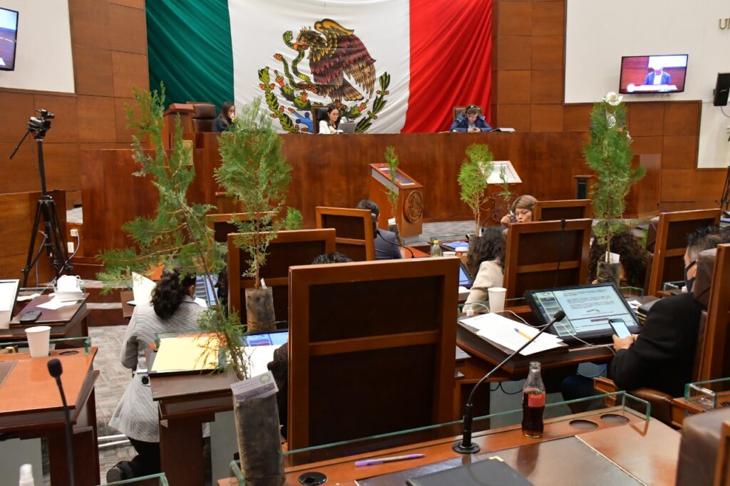 Ley de Preservación del Arbolado Urbano armonizaría a Zacatecas con la Agenda 2030 de la ONU: Maribel Galván