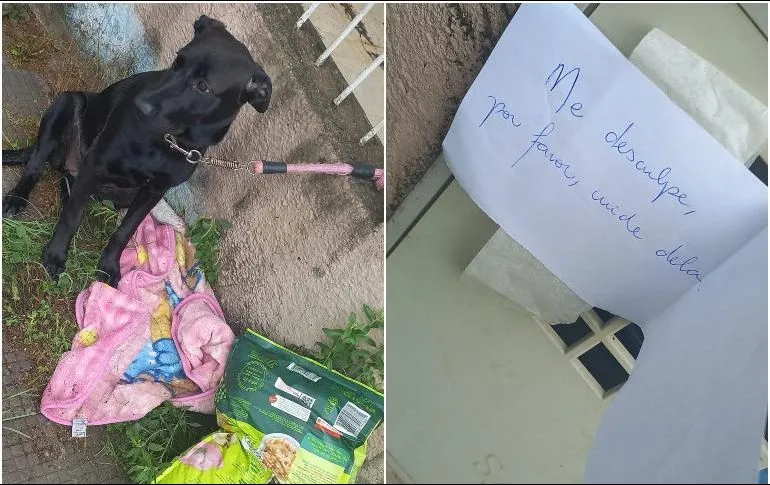 Viral: Abandonan a una perrita con una nota y su cobija