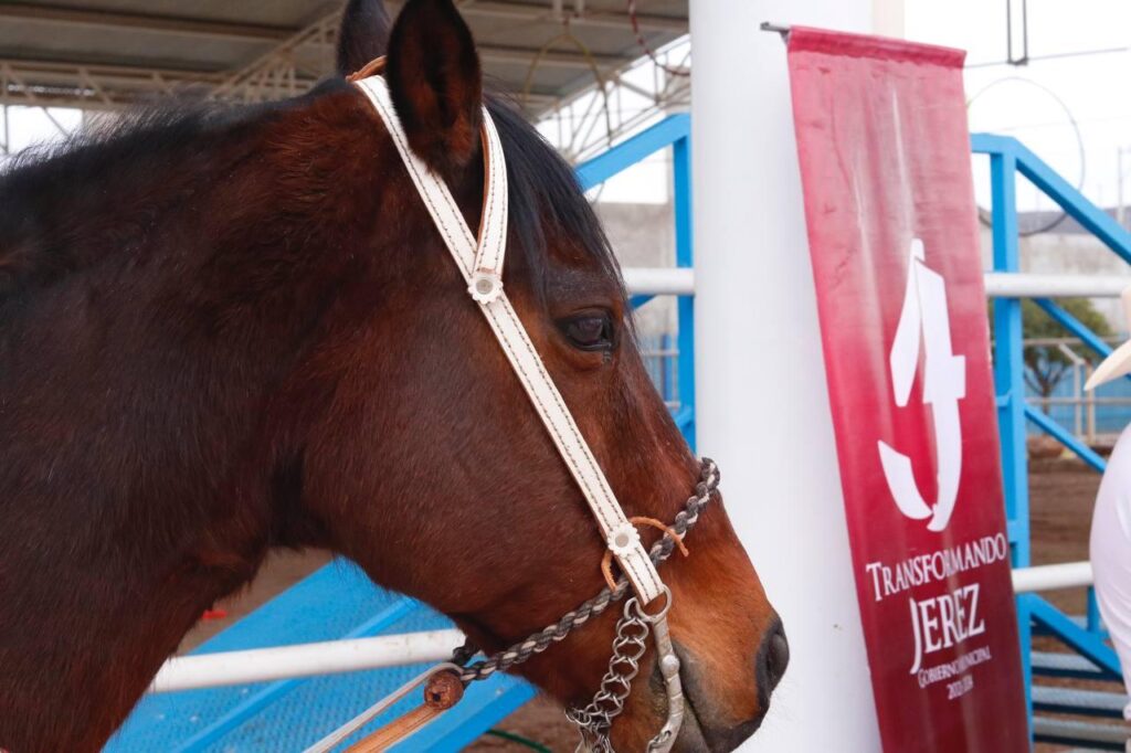 DIF DE JEREZ RECIBE DONACIÓN DE CABALLO POR PARTE DE CLUB MIGRANTE DE TETILLAS