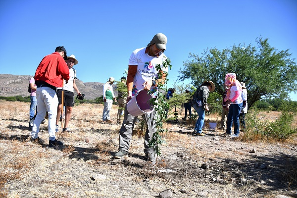 Encabeza Julio César Chávez forestación en Parque Constituyentes