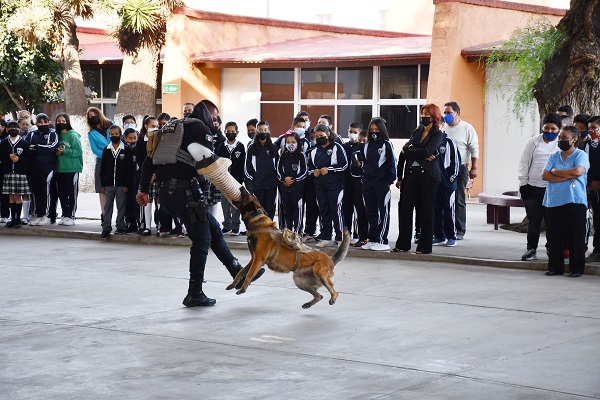 Previenen violencia con programa interinstitucional