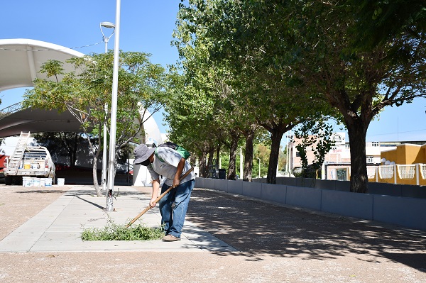 Dan mantenimiento al Parque La Purísima