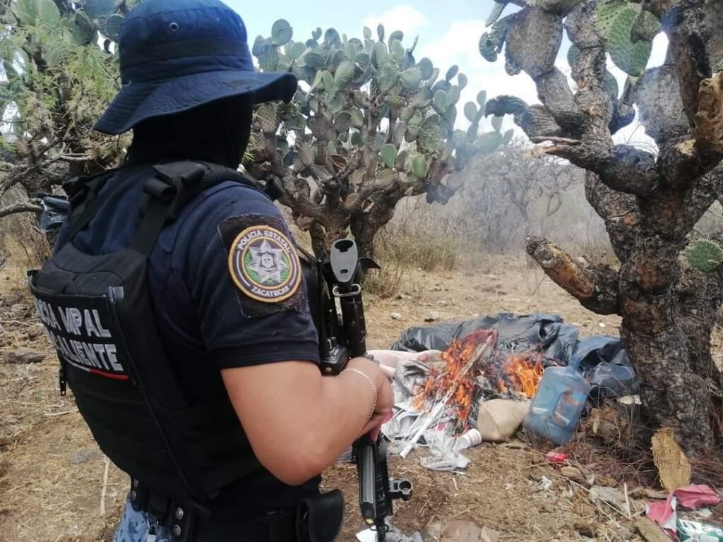 Desmantelan SSP y Policía Municipal campamento utilizado por grupo delincuencial en Ojocaliente