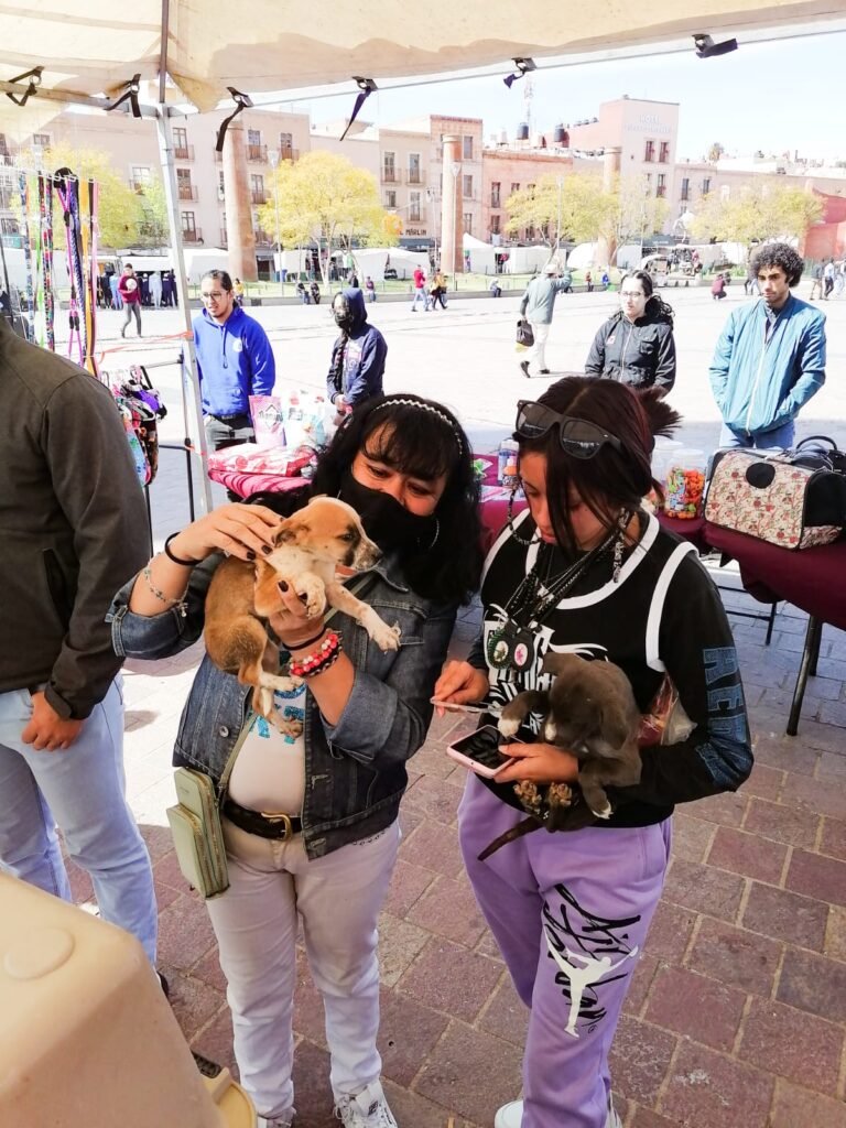 REALIZAN CON GRAN ÉXITO EL PRIMER ADOPTA FEST DEL AÑO