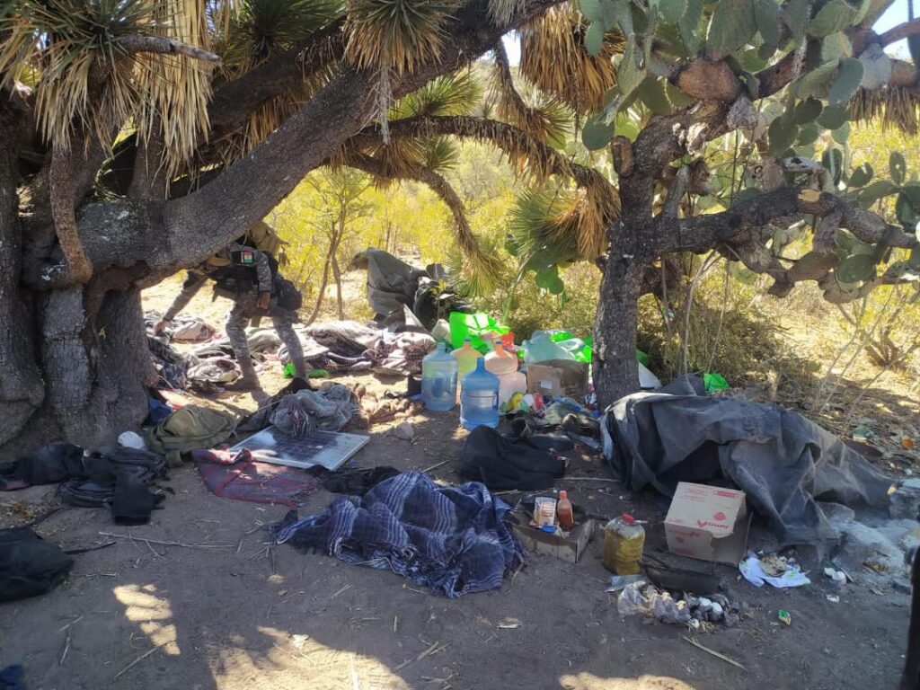 Desmantelan fuerzas de seguridad campamento utilizado por un grupo delincuencial en Jerez
