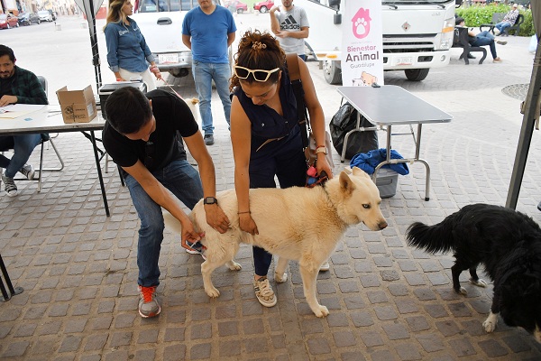 Todo un éxito Segunda Feria de la Mascota