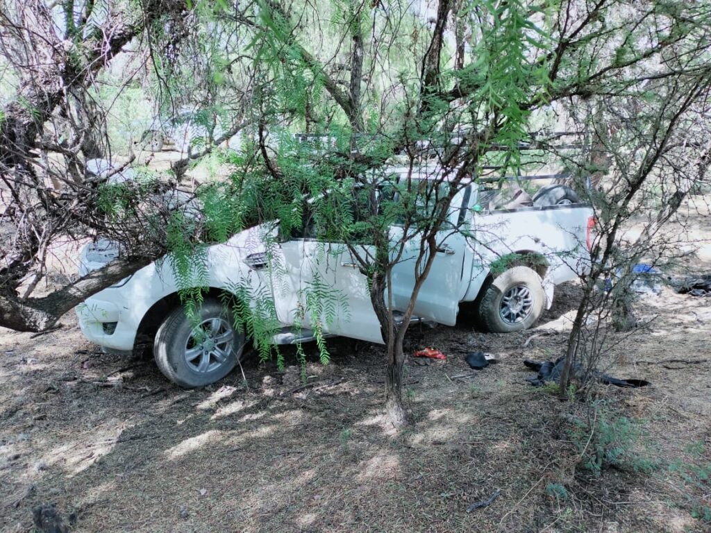 Fuerzas de Seguridad asestaron fuerte golpe a grupos delictivos; aseguraron 12 vehículos, droga y cartuchos en la zona sur del Zacatecas