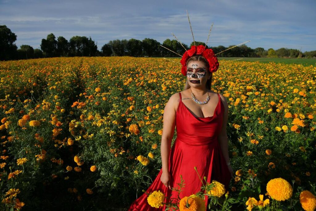 Impulsa Pepe Saldívar producción y venta de flor de cempasúchil