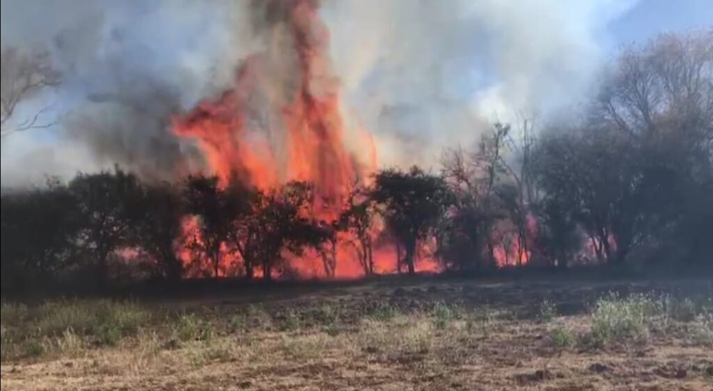 SOFOCAN BOMBEROSINCENDIO PROVOCADO