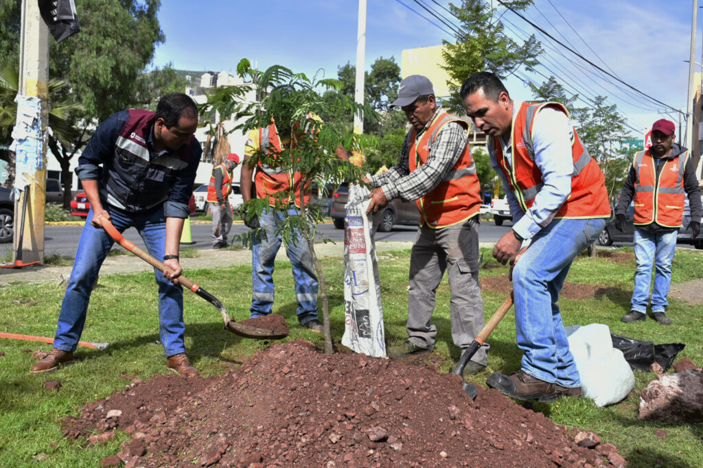 Dignifica Pepe Saldívar espacios públicos y áreas verdes del Municipio de Guadalupe