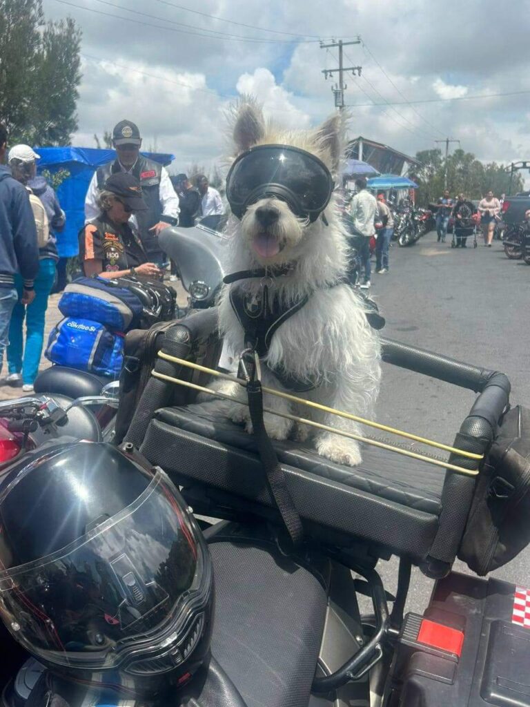 RECIBE LA CAPITAL A MILES DE VISITANTES PARA LA CONCENTRACIÓN INTERNACIONAL DE MOTOCICLISTAS “LA ORIGINAL”