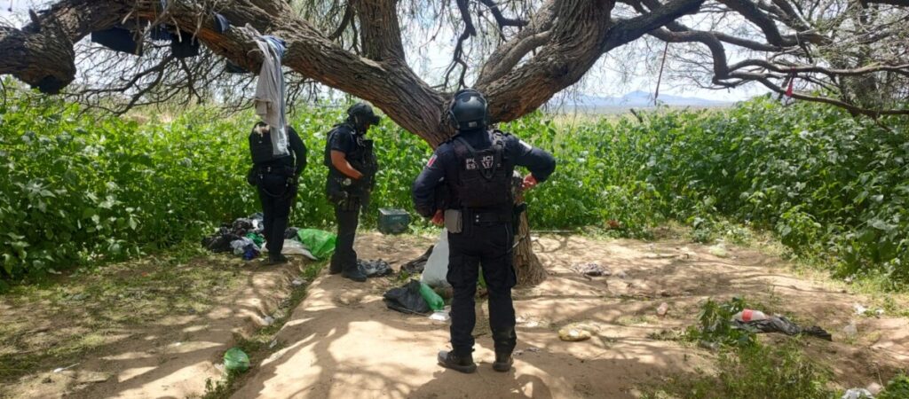 Fuerzas de Seguridad desmantelan campamento utilizado por grupo delincuencial en Noria de Ángeles