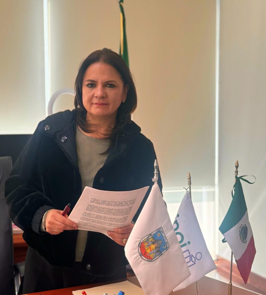 La Plataforma Nacional de Transparencia vigente en Zacatecas: Julieta Del Río