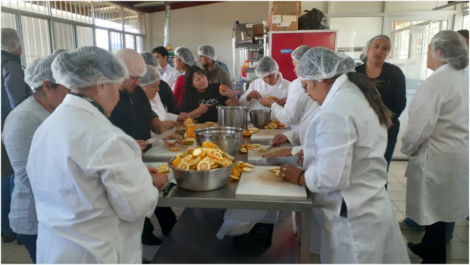 CONTINUA EN JEREZ LA CAMPAÑA DE CONTROL DE LA MOSCA DE LA FRUTA