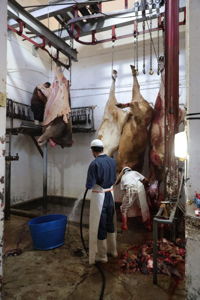 RASTRO MUNICIPAL HACE LLAMADO A CONSUMIR CARNE LOCAL Y CERTIFICADA DURANTE LA TEMPORADA NAVIDEÑA